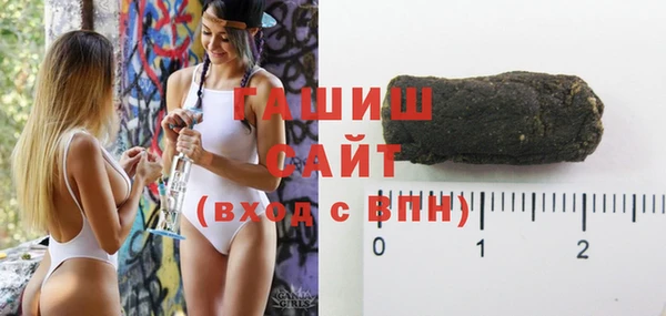 амф Новозыбков