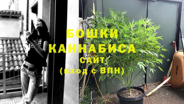 амф Новозыбков