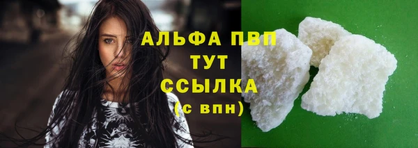 индика Новокубанск