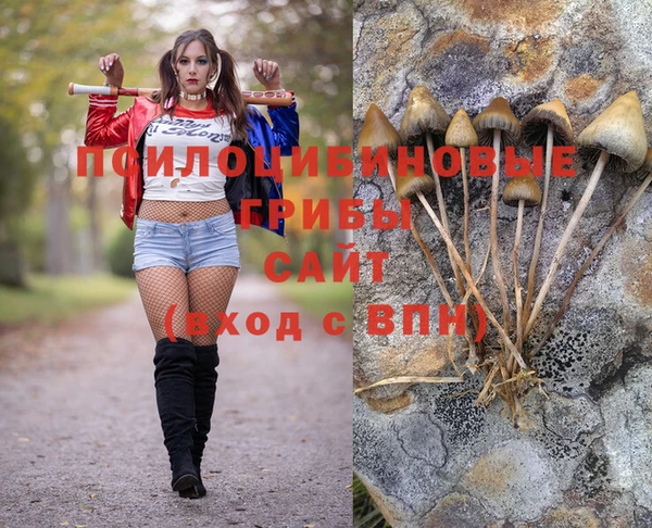 метамфетамин Новодвинск
