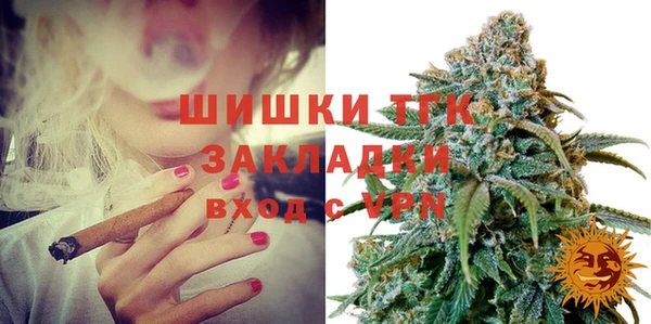 амф Новозыбков