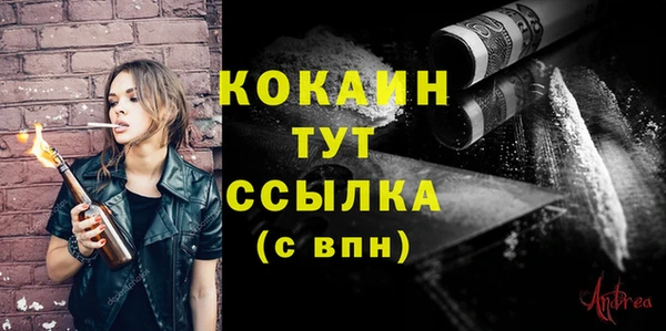 твердый Михайловск
