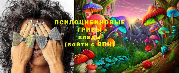 альфа пвп Нязепетровск